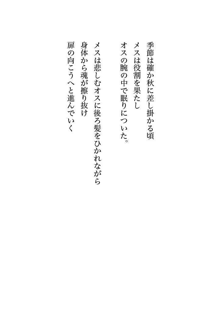 ふたつの光と散歩道:小冊子