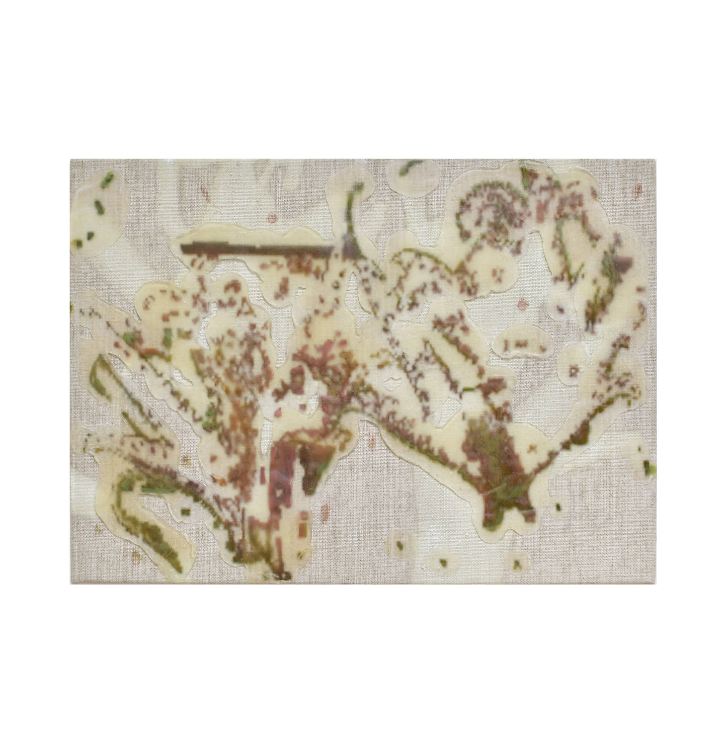 dried flower