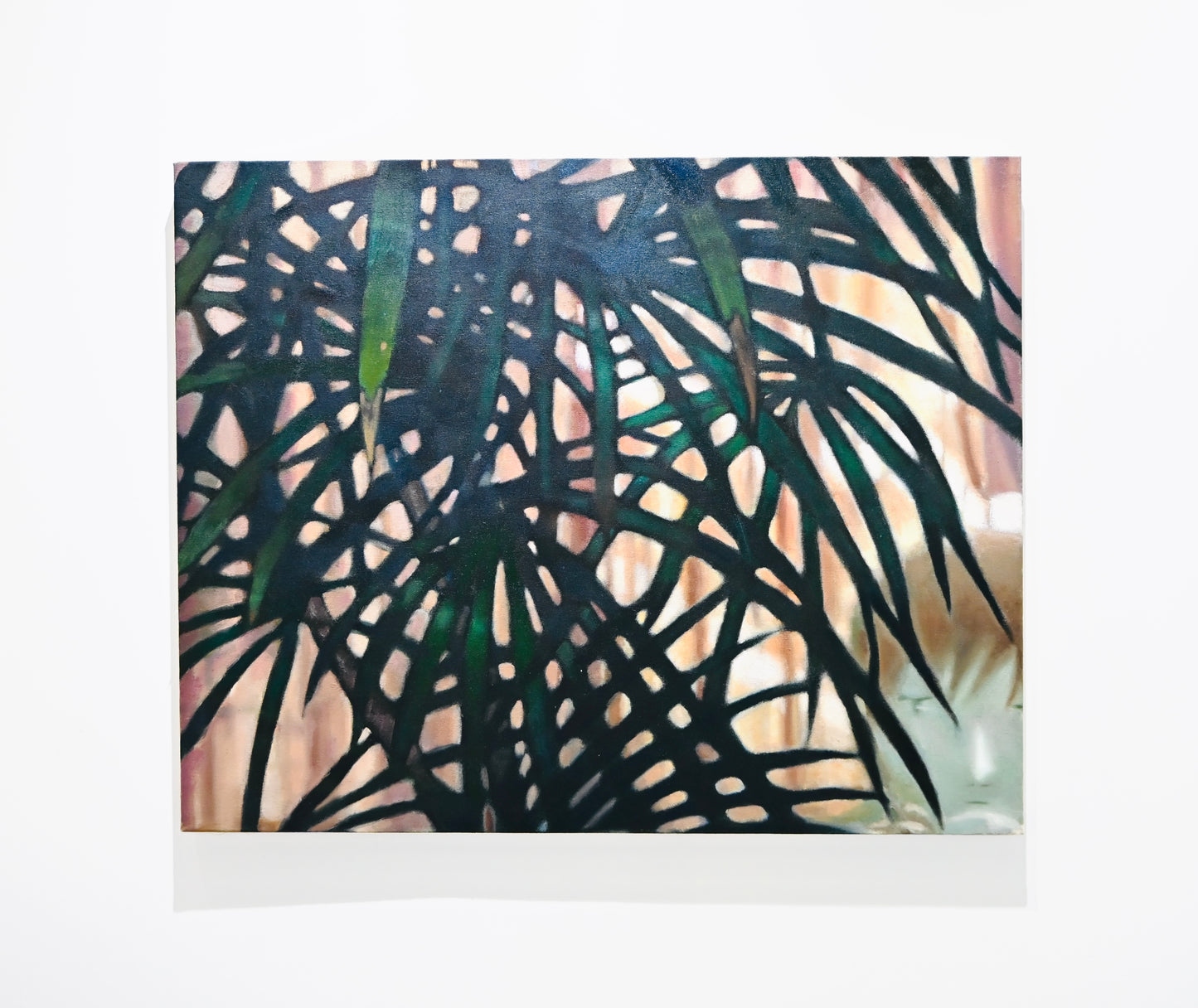 houseplant