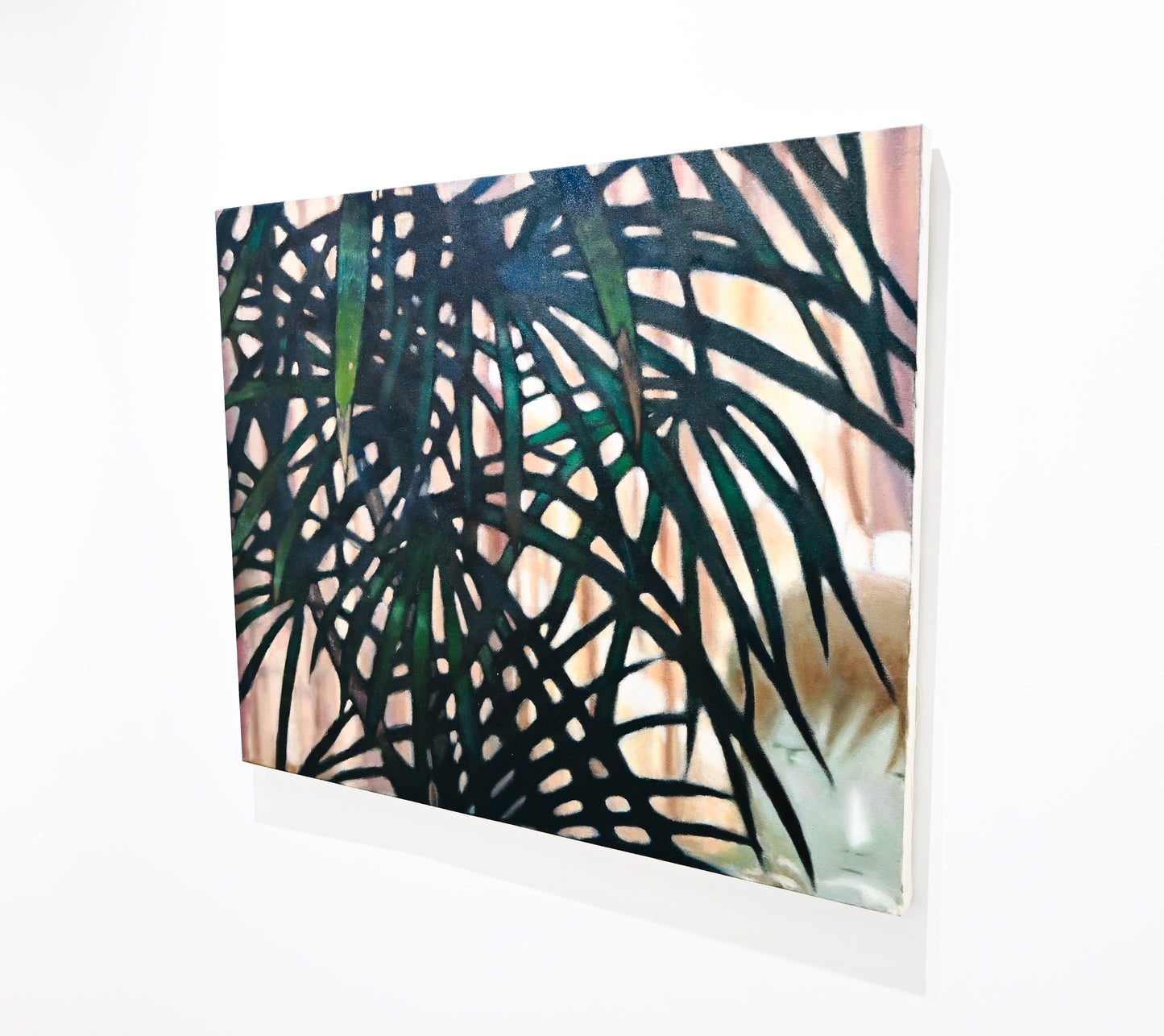 houseplant