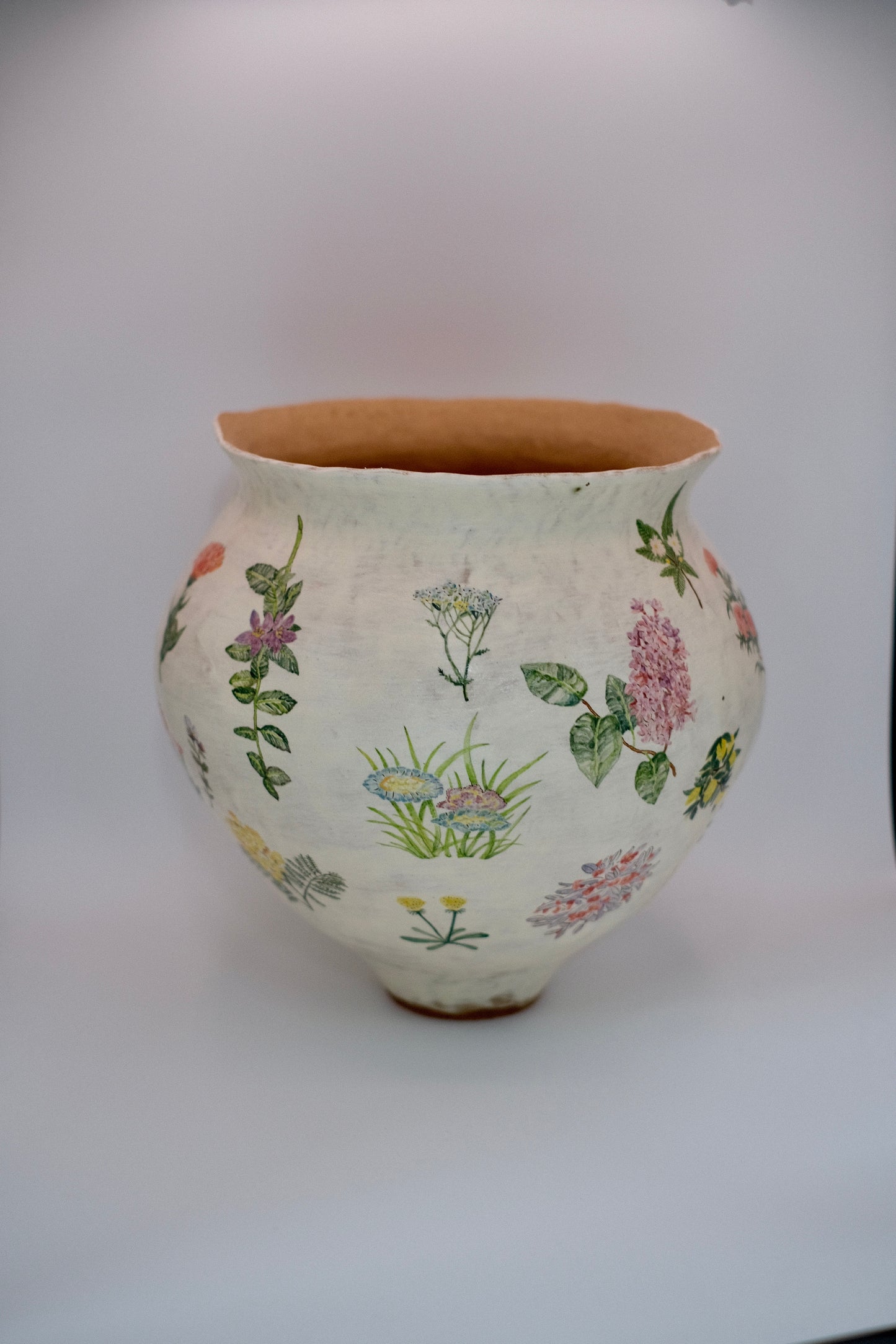 Plant Encyclopedia Vase2